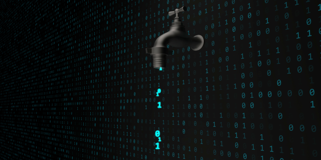 What is a Data Leak and How Can It Affect Educational Institutions?